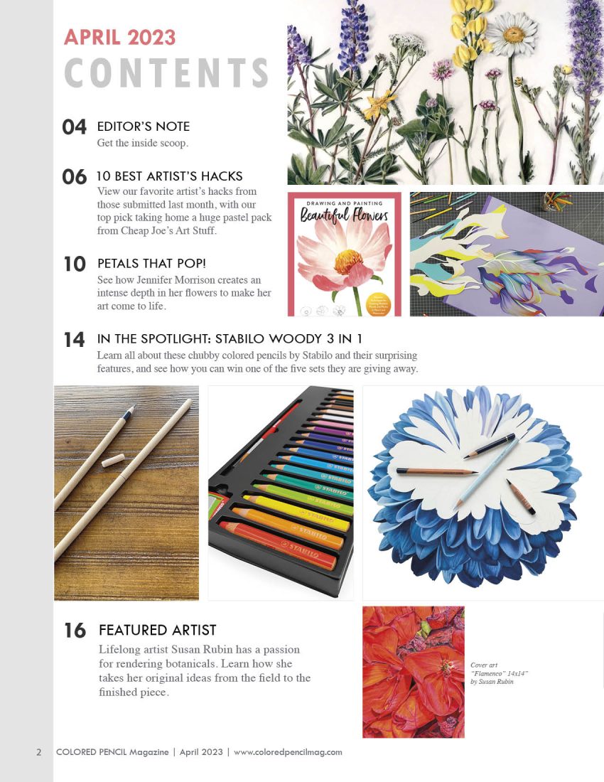 10 Best Colored Pencils For Artists In 2023