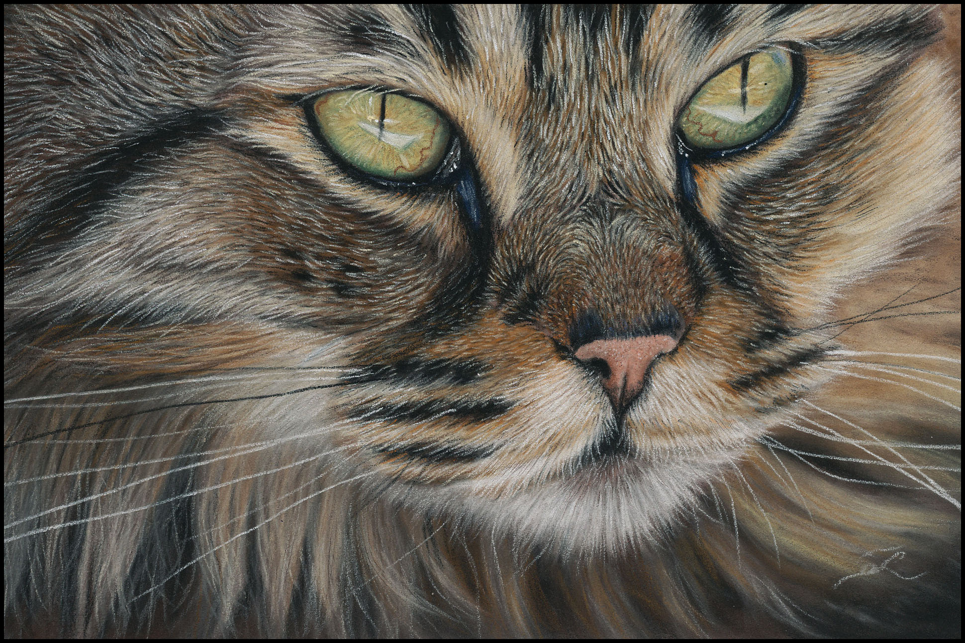 Cat Face Workshop!